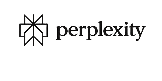 Perplexity